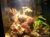 NANO_BECKEN (02.14) 001.jpg