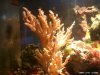 NANO_BECKEN (02.14) 003.jpg