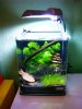 aqua1 008.jpg