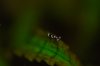 DSC_4734.JPG