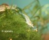 081001 01test.jpg