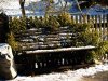 Winter_01.JPG