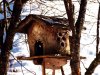 Winter_03.JPG