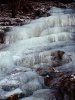 Winter_04.JPG