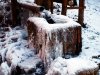 Winter_05.JPG