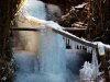 Winter_06.JPG