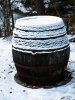 Winter_08.JPG