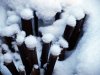Winter_10.JPG