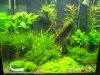 100_3136.jpg