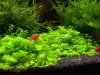 100_3138.jpg