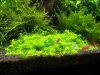 100_3151.jpg