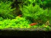 100_3164.jpg
