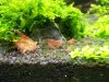 100_3223.jpg