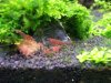 100_3224.jpg