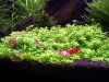 100_3226.jpg