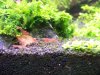 100_3227.jpg
