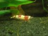 DSC00323.JPG