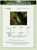 datenblatt_blue-pearl.jpg