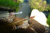 P1010138-1.JPG