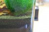 K800_DSC_5643.JPG
