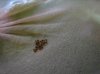 img_3296_passig_gemacht.jpg