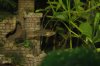 K800_DSC_5459.JPG