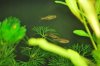 K800_DSC_5413.JPG