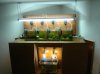 DSC02279.JPG