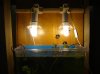 DSC02284.JPG