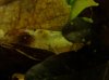 DSC02256.JPG