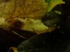 DSC02257.JPG