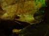 DSC02261.JPG
