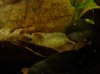 DSC02263.JPG
