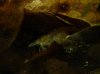 DSC02272.JPG