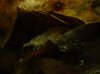 DSC02274.JPG
