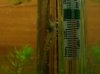 DSC02276.JPG