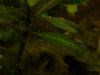 DSC02325.JPG