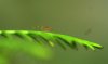 DSC_0024 Kopie 20167.JPG