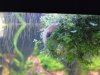 DSC01452.JPG