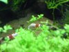 DSC01436.JPG