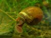 DSC07465.JPG
