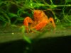 DSC07487.JPG