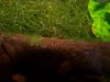 100_2270.JPG