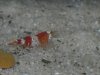 DSCN3053.JPG