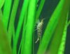 IMG_0077.JPG