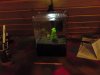 DSC00108.JPG