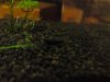 DSC00224.JPG