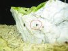 test^^.jpg