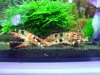 DSC04356.JPG