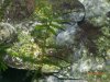 DSCN3381.JPG
